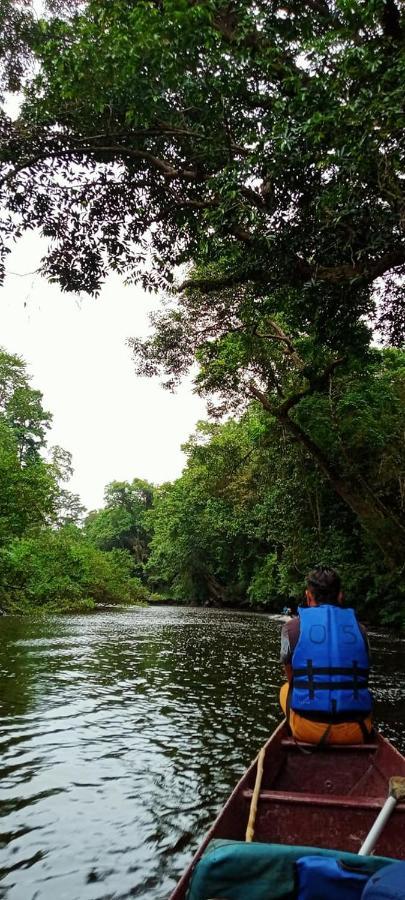 Belebar Homestay Taman Negara Pahang Malaysia Kuala Tahan Luaran gambar
