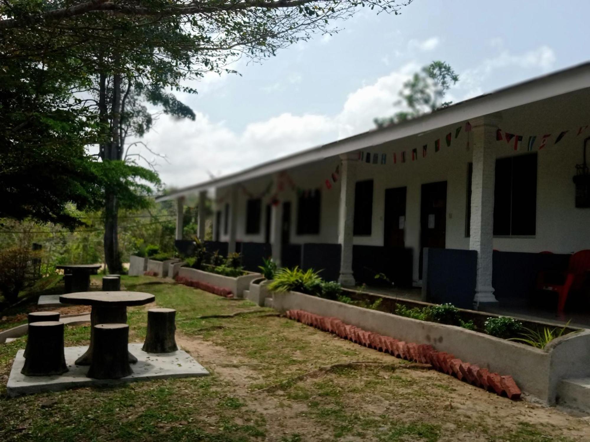 Belebar Homestay Taman Negara Pahang Malaysia Kuala Tahan Luaran gambar