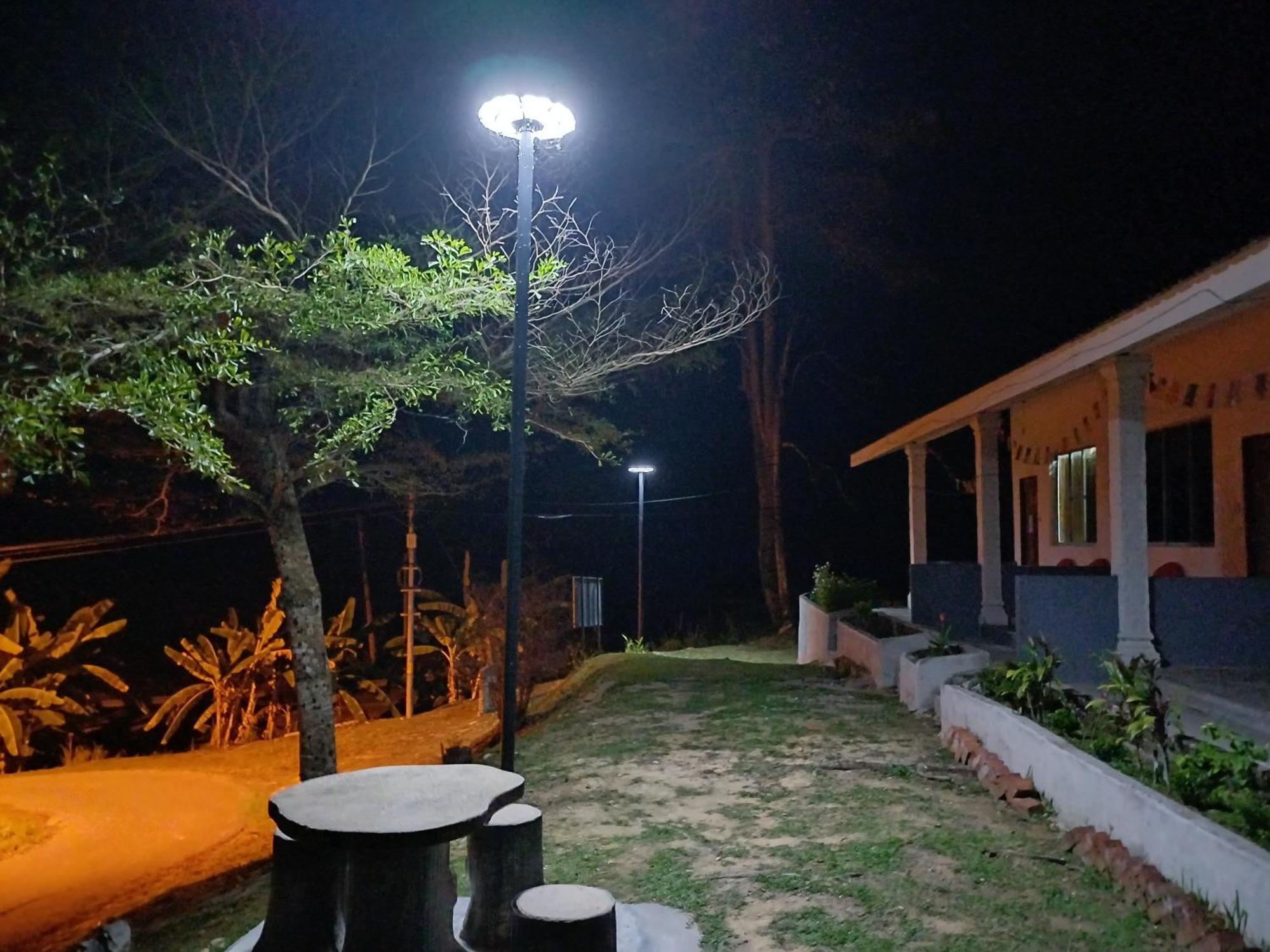 Belebar Homestay Taman Negara Pahang Malaysia Kuala Tahan Luaran gambar
