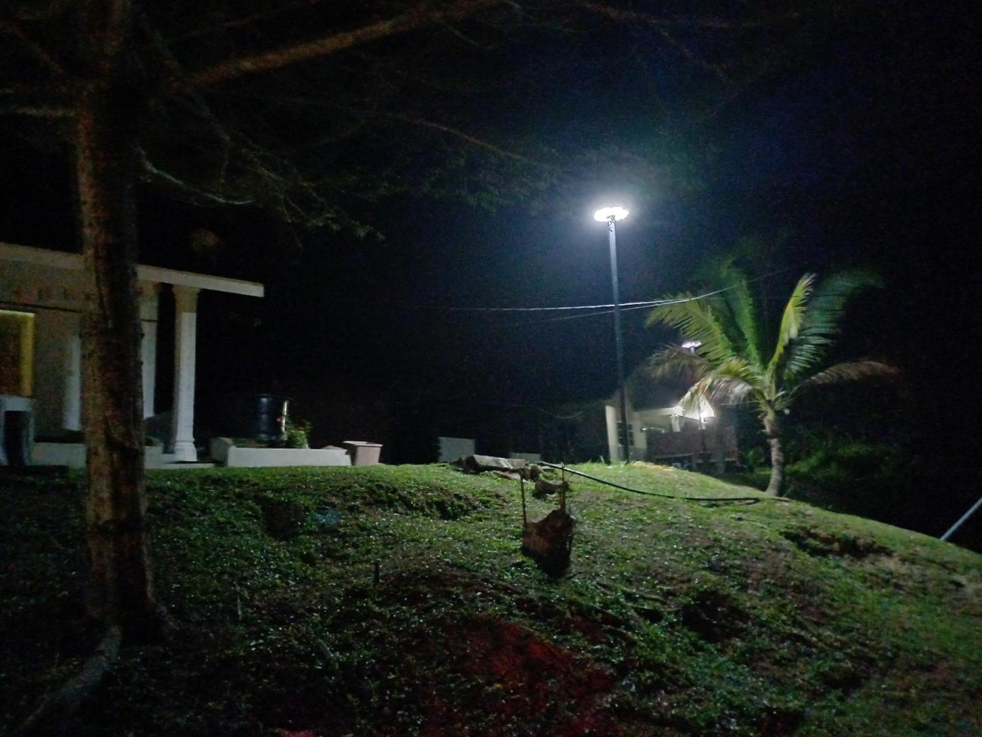 Belebar Homestay Taman Negara Pahang Malaysia Kuala Tahan Luaran gambar